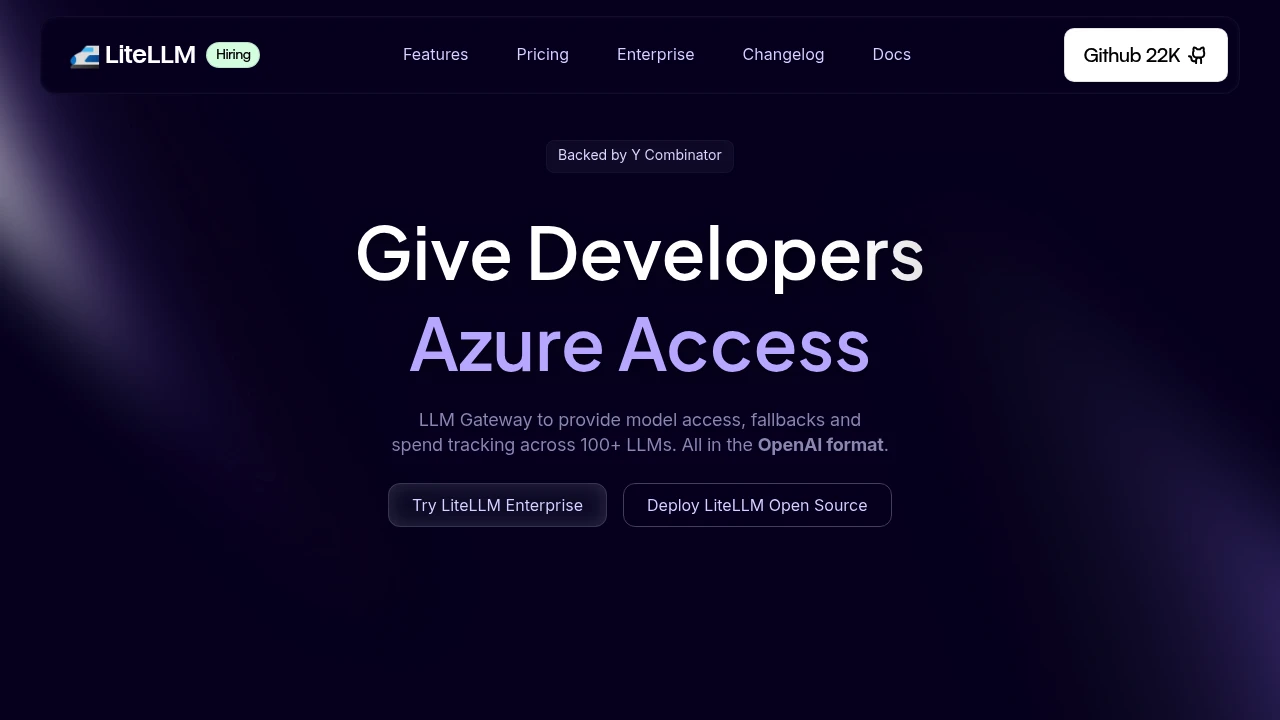 Screenshot of LiteLLM website